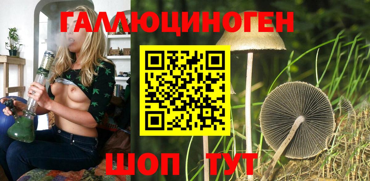 Псилоцибиновые грибы Cubensis Кызыл