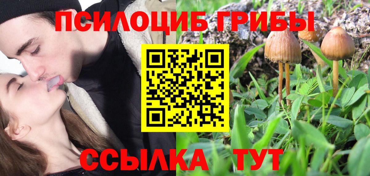 Псилоцибиновые грибы MAGIC MUSHROOMS  Вход с VPN  Кызыл 